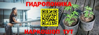 трава Пенза