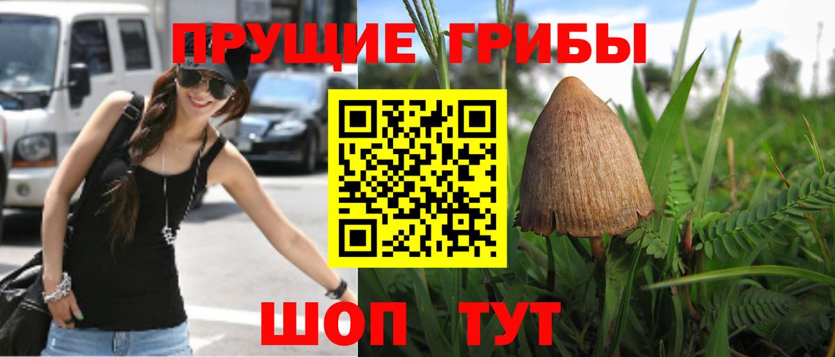 Галлюциногенные грибы прущие грибы Славянск-на-Кубани