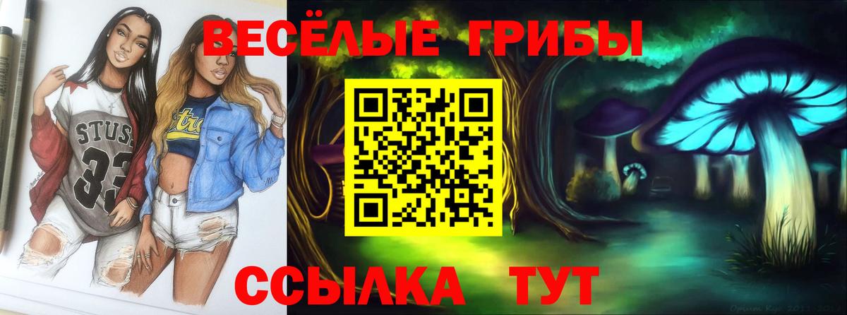 Галлюциногенные грибы ЛСД  Вход с VPN  Славянск-на-Кубани 